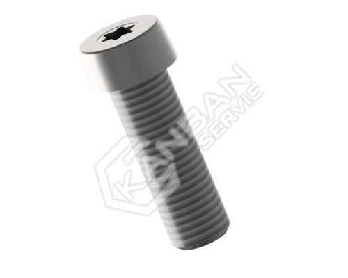 Šroub s nízkou hlavou ISO 14580 8.8 Zn TORX M5x20