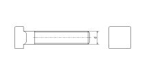 Šroub se čtyřhrannou hlavou pro T-drážky DIN 787 8.8 St M20x20x100 (1)
