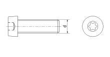Šroub s nízkou hlavou ISO 14580 Inox A2 TORX M5x12 (1)