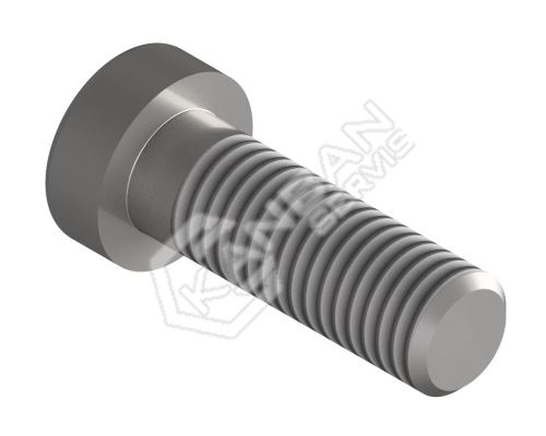 Šroub s nízkou hlavou DIN 7984 8.8 St M4x25