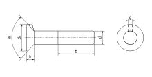 Šroub s nosem zapuštěná hlava DIN 604 4.6 St M20x80 (1)