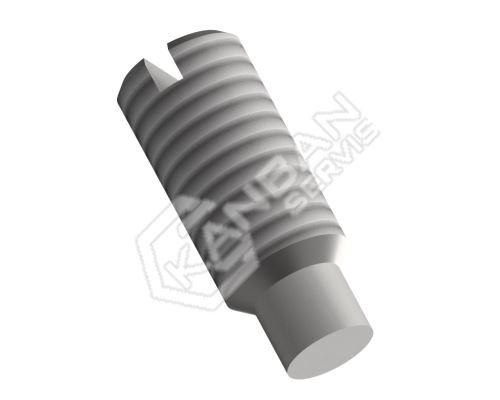 Šroub stavěcí s čípkem DIN 417 14H St M12x50