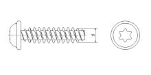 Šroub do thermoplastu okrasná hlava WN 5451 Zn vn.TORX KA50x12 (1)