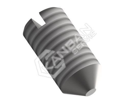 Šroub stavěcí s hrotem DIN 553 Inox A1 M8x25